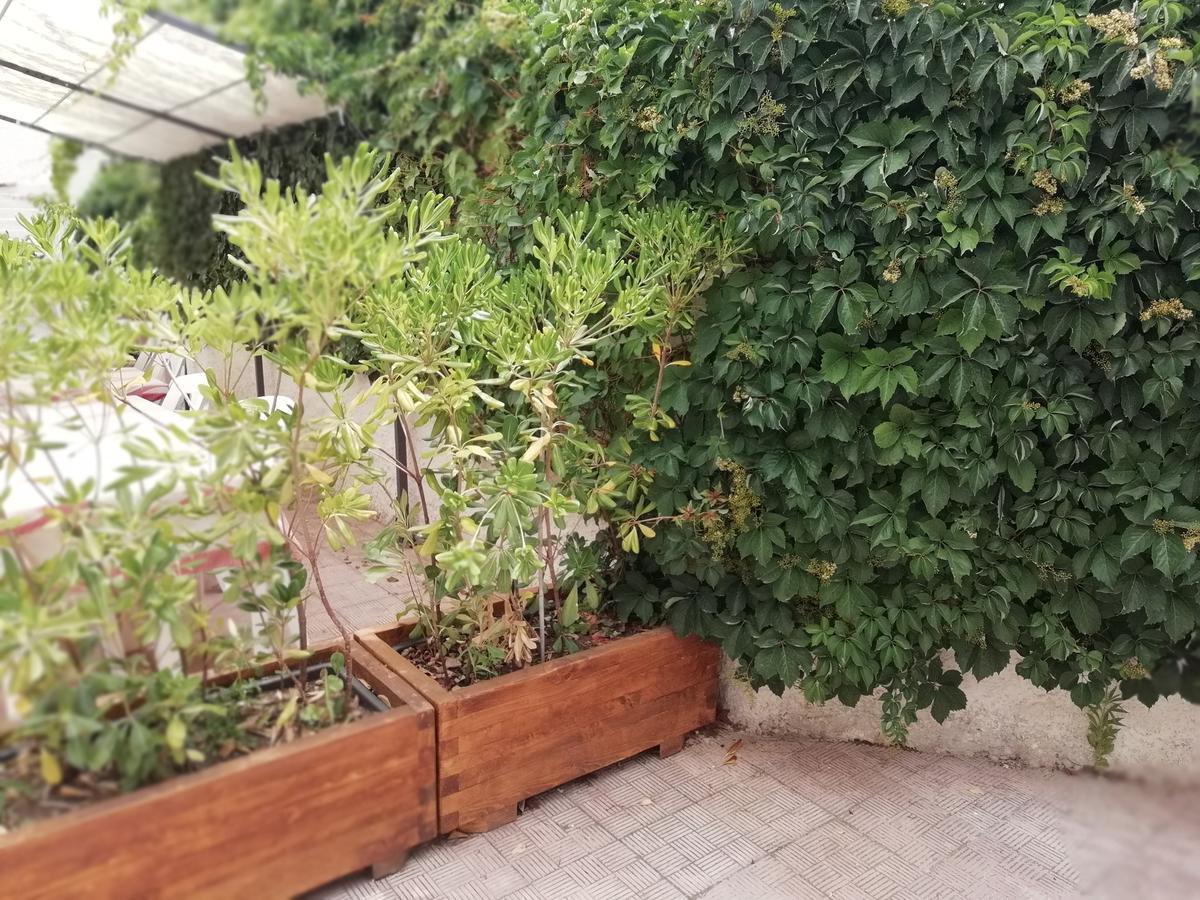 Lido di Noto Hotel Noto Marina Stella Marina - B&B מראה חיצוני תמונה